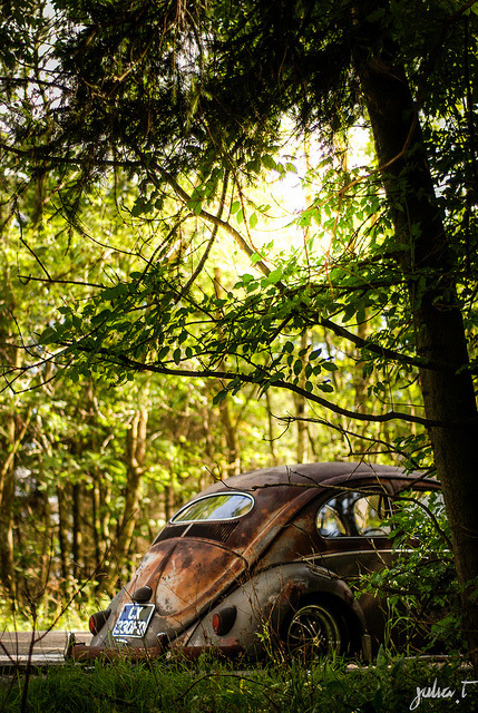 bielaur:  Promenons nous dans les bois.. by Julia.This on Flickr. 