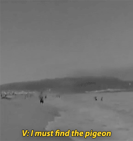 eatjin:despite the fact that jungkook’s stage name was almost seagull at one point im not sure these