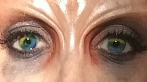 goteamjacket:gentledork:  The beast has rainbow eyes  S2 gets gayer and gayer