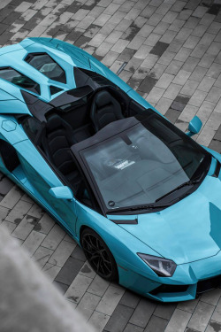 themanliness:  Aventador | Source | MVMT