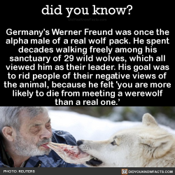 did-you-kno:  Germany’s Werner Freund was