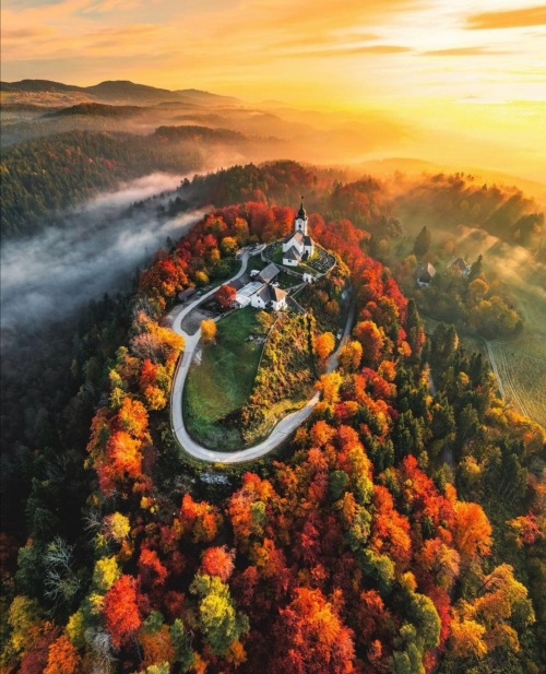 legendary-scholar:      Autumn in Carinthia, Sternberg / Austria (by Peter Maier).    