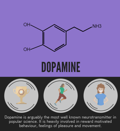 tobeagenius: We have a lot to owe to neurotransmitters, they are the driving force behind every chem