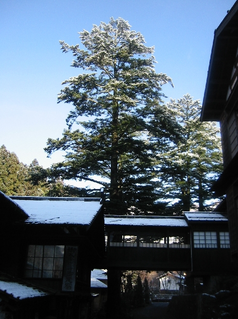 sartorialjohnnyboy:  Hoshi onsen located in Gunma prefecture, Japan: http://www.houshi-onsen.jp/index.html