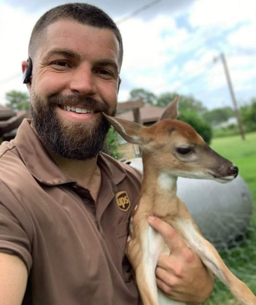 Beautiful fostered fawn in Huntsville Tx