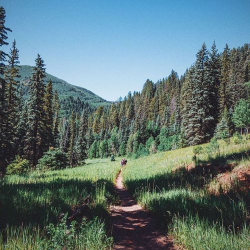 jjying:  On the trail.  #Colorado by jiznakefoo