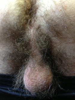 lovehairybushgdl:  Uff Que ricas bolas peludas