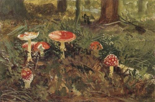ivan-shishkin:Amanita, 1879, Ivan Shishkin