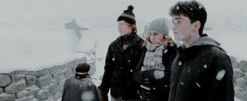 bahtmun:Harry Potter film series: the Golden Trio 