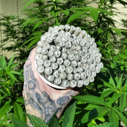 johannesnw:  Rolled up 103 joints for the weekend! 