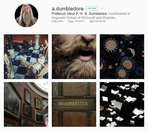 adeoetregina:INSTAGRAM AU>> the Harry Potter Series >> the Order of the Phoenix (selecti