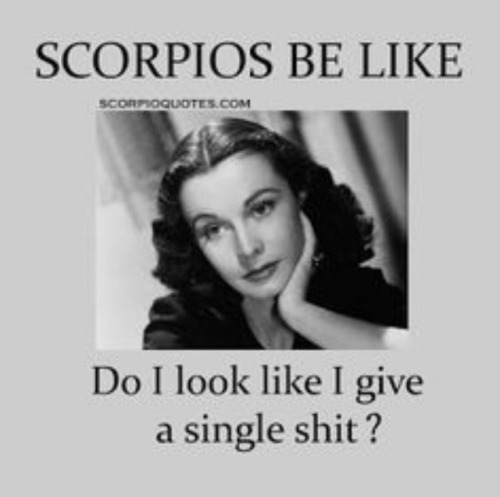 creamygoddesss - SCORPIO SEASON IS ALMOST HERE...