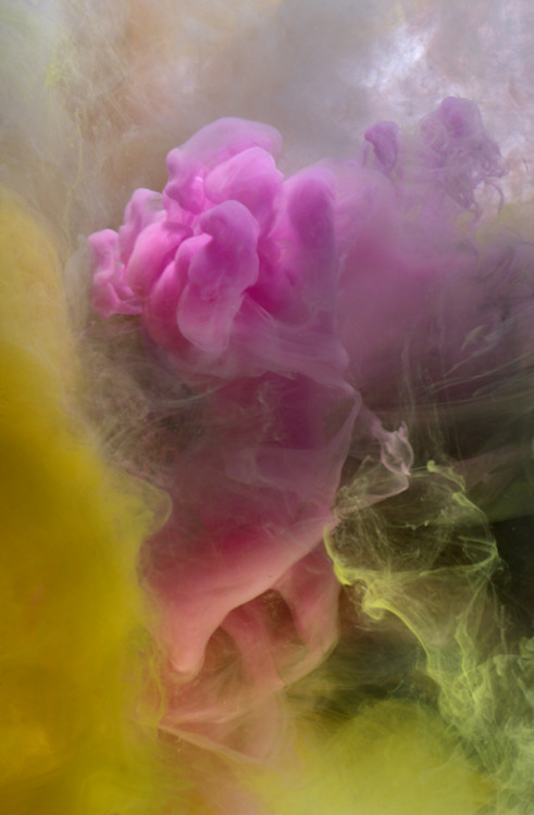 fer1972:  Colorful Smoke by Kim Keever  porn pictures
