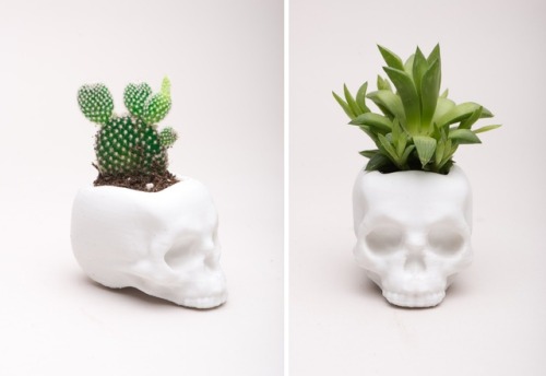 sosuperawesome:  3D Printed Planters, Decor and Tape Dispenser by Meow 3D Store on Etsy More Planters Follow So Super Awesome: Facebook • Pinterest • Instagram • Blog (New)  