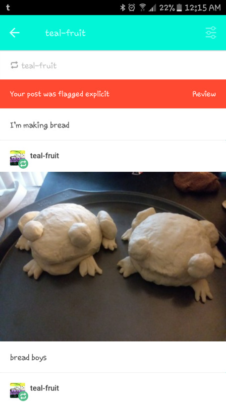 teal-fruit:  teal-fruit:   teal-fruit:   teal-fruit:  I’m making bread   bread boys     my sons! THEY’RE DELICIOUS   frog bread was tagged explicit. reblog the forbidden frog bread for luck and power 