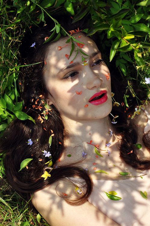 My gorgeous little bambie Terezka laying in the grass with all the beauty that nature brings &lt;3