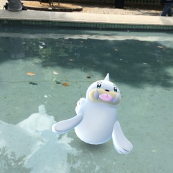 teddiusra:  seel are always playing in this fountain &amp; im so grateful 