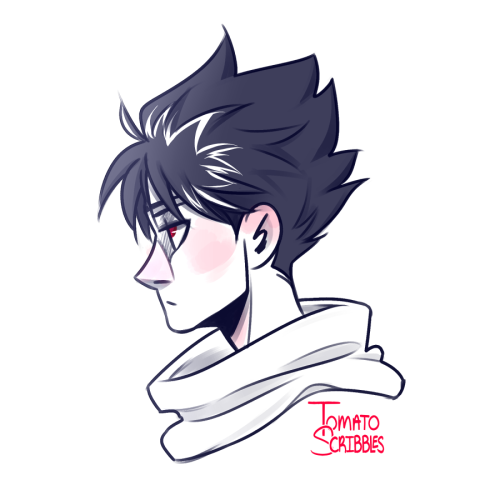 tomatoscribbles: my sisters and i binged yu yu hakusho, and im a clown