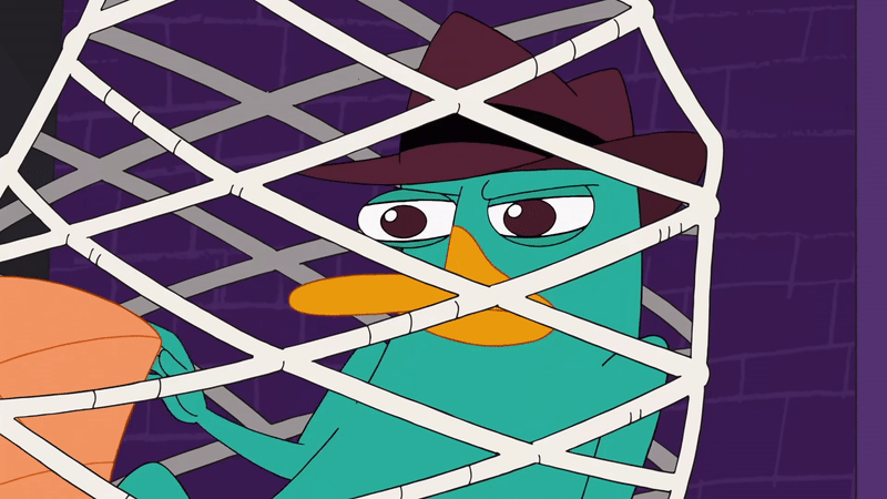 An archive for PnF — Perry wears contact