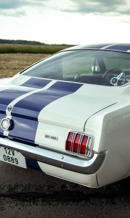 XXX h-o-t-cars:  Ford Mustang Shelby GT350 photo