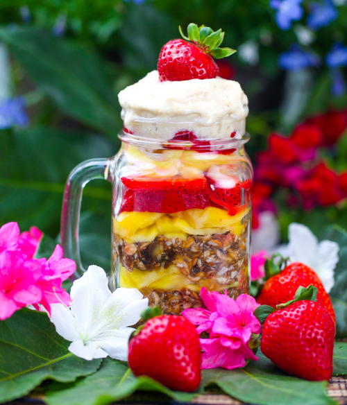 Olenko’s Raw Vegan Oat Parfait with Jackfruit and Strawberries   Oats: 1 cup gluten free organ