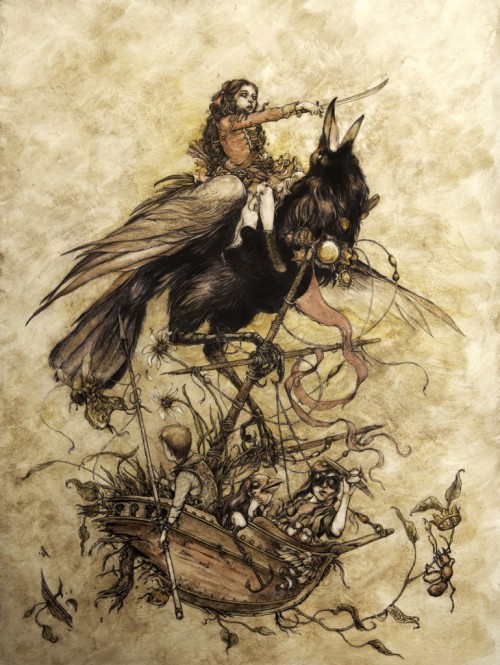 Curioso Series by Jeremy Hush