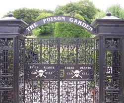 unexplained-events:  The Poison Garden Established