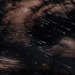 the-divine-gods: