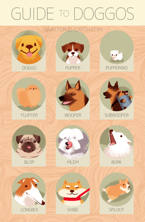 pudbun: shattered-earth:  GUIDE TO DOGGOS I finished this print before fanime but never posted it be