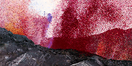 notagingeryet:Millions Of Flower Petals Erupted From A Volcano Covering An Entire Village 