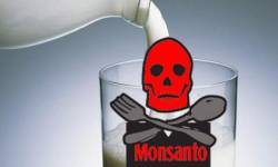 satanic-capitalist:   2 FOX News Reporters Fired for Covering Monsanto’s Cancer-Causing GMO Milk By Christina Sarich  Two Fox journalists were recently fired for exposing milk that is ‘unfit for human consumption’ due to Monsanto GMO meddling.