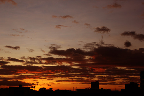 zarb:  “Sunset” by Thiago Braz