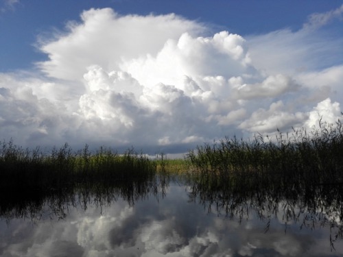 Water meets the clouds. ©missbryophyte