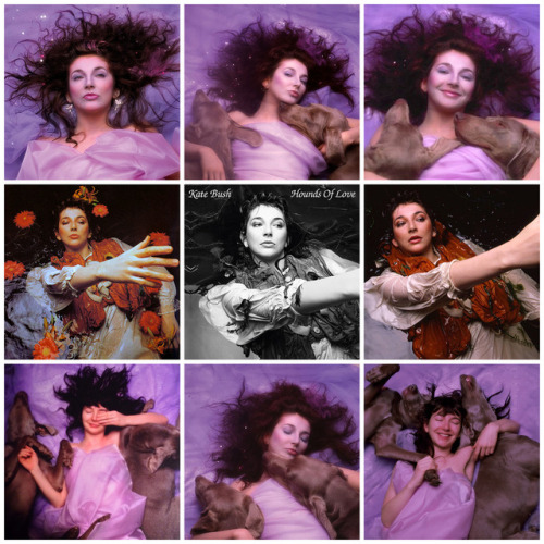 Kate Bush Album/Era Art: 1978-2011.