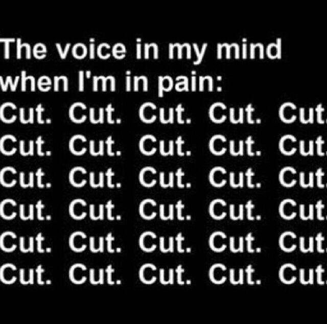 liestearsandscars:  I can’t believe I’ve lasted this long..