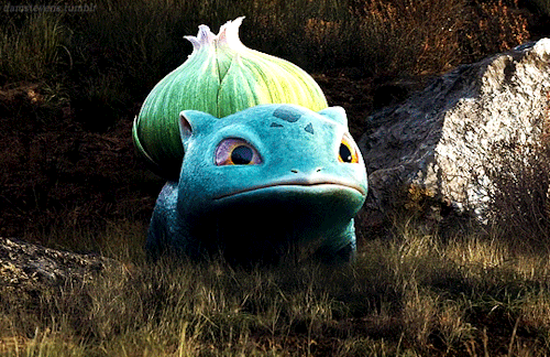 damstevens:garlic!