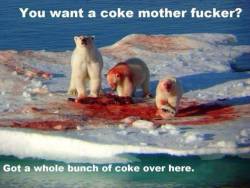 thebest-memes:  &ldquo;Want some Coke?&rdquo;