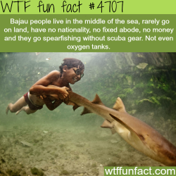 coutois:  wtf-fun-factss:  Bajau people, the people that live in the middle of the sea - WTF fun facts  Badass 