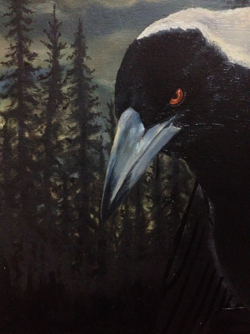 Magpie Oil on panelCelene Bridge