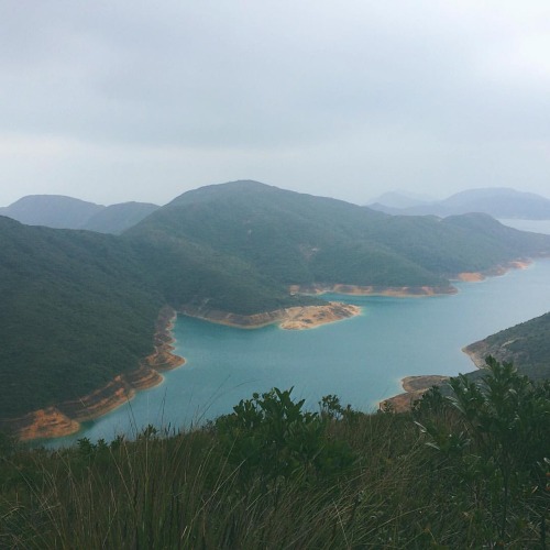 Maclehose Trail, Hong Kongnew spirit animal = mountain goat. six hours of hiking through an endless 