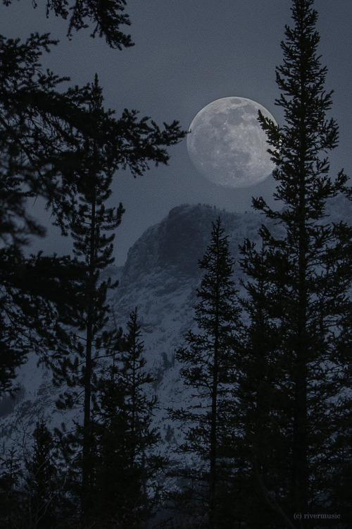 Midwinter Moon: © riverwindphotography