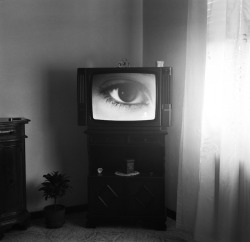 sodisnanee: Lee Friedlander