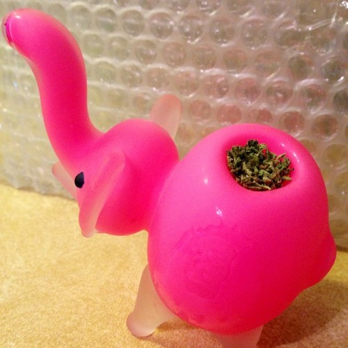 thoughtsfromatwistedmind:  Have you ever been so high that you saw a pink elephant? Well now you don’t need to be high. Say hello to Pinky. :) #mine #420 #pink #elephant #pipe #smoke #green #weed #awesome #impulsebuy #ihadtoitwasapinkfuckingelephant