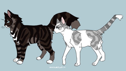 Quick character sheet for a video I might make about Ivypool and Hawkfrost. I’ve been trying to find