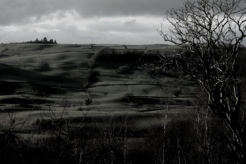 Blacksmith's eye