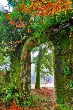 bonitavista:  Galicia, Spain photo via tammy