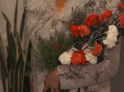 marypickfords: Psychout for Murder (Rossano Brazzi, 1969)