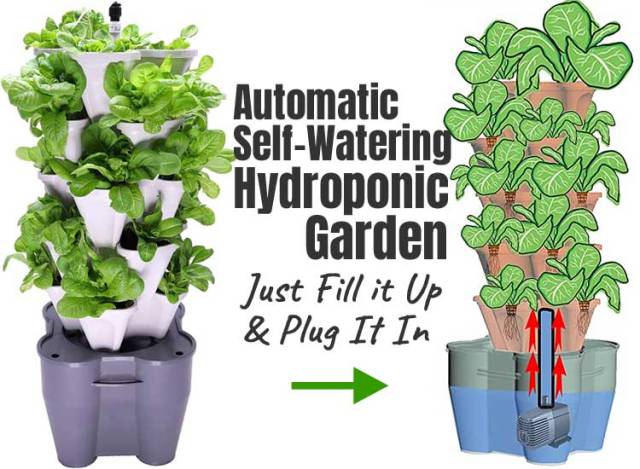 Do you want to grow leafy greens at home – but you don’t have a large backyard or lots of time? The Mr Stacky Smart Farm vertical lettuce garden includes almost everything you need...#verticallettucegarden  https://easyverticalgardening.com/vertical-lettuce-garden/  #vertical lettuce garden