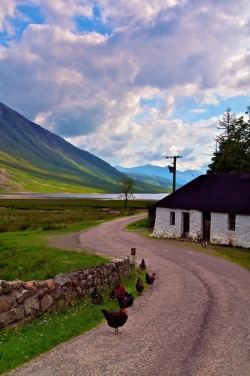 pagewoman: Loch Etive, Scotland. by Paul