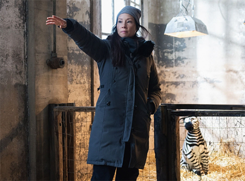 shesnake:Lucy Liu directing various episodes of Elementary between 2013 and 2018.